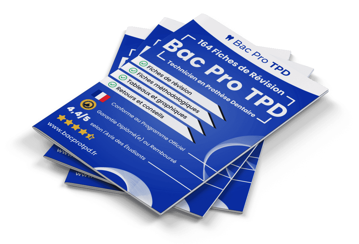 164 Fiches de Révision pour le Bac Pro TPD